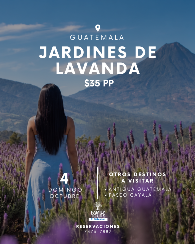 jardines de lavanda